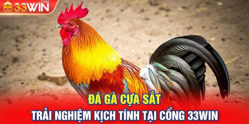 Đá Gà Cựa Sắt - Trải Nghiệm Kịch Tính Tại Cổng 33Win